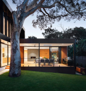 A tree is in the middle of an outdoor area.