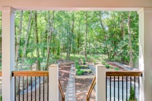 A view of trees from the back porch.