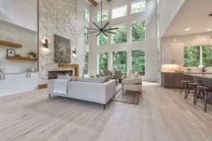 A living room with white walls and floors
